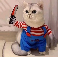 Funny Halloween Cat & Small