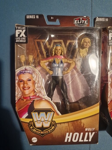 Mattel wwe legends - wwe, 16