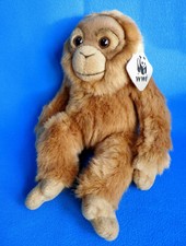 GORILLA ORANGUTAN * ORANG UTAN