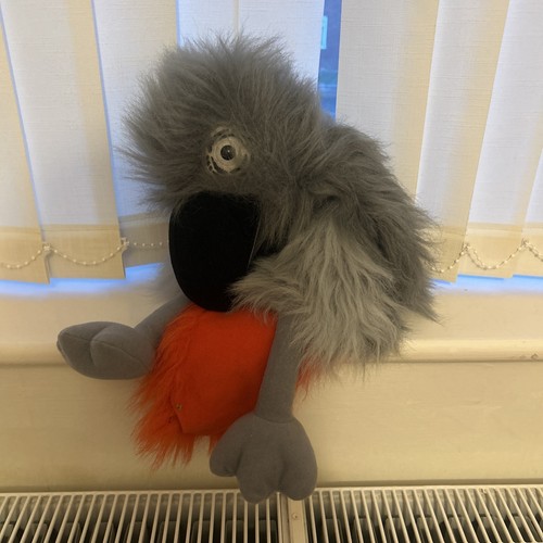 African grey parrot - grey,