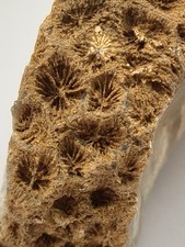 Tisbury/Wiltshire Starstone
