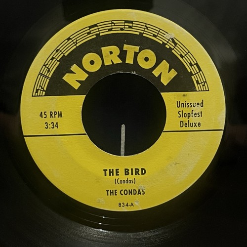The condas bird - condas,