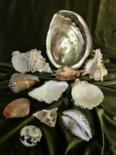Antique collection genuine - antique, of