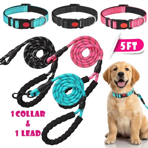 Reflective breathable dog - reflective,