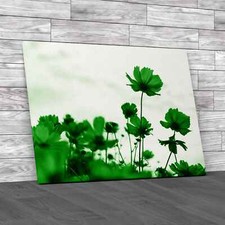 Floral Poppy Field Green