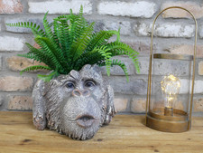 Rustic Monkey Head Garden