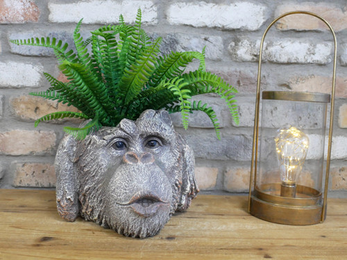 Rustic monkey head garden - rustic,
