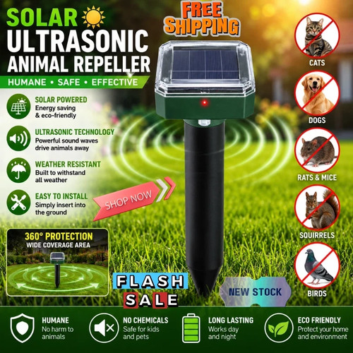 Ultrasonic cat dog fox - cat,