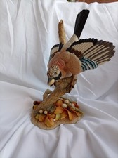 Stunning Teviotdale Jay With