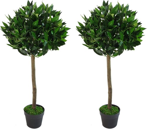 Pair 90cm bay topiary ball - 90cm,