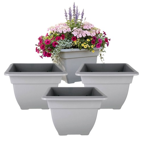 Grey square bell plant - 4, pots