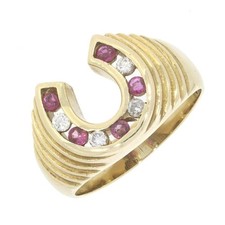 Ruby and Diamond Horse Shoe