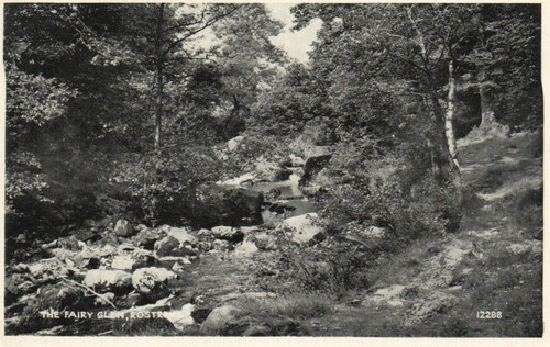 The fairy glen rostrevor - the,