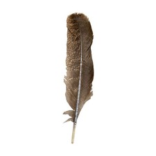 Turkey Feather, Natural, 9-11