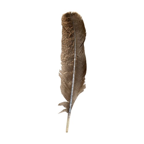 Turkey feather natural 11 - natural, 9-11