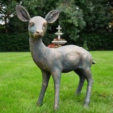 Stunning Baby Deer Garden