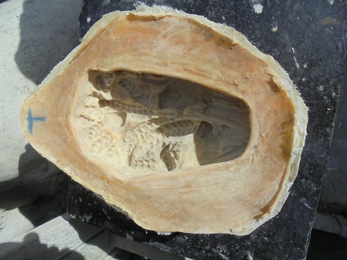 Latex and fibreglass mould - fibreglass,