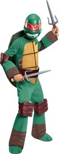 Nickelodeon Raphael Teenage Mutant Ninja Turtle costume made by Rubie's
