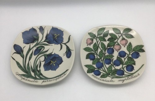 Arabia botanical wall - wall, plates