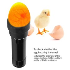Black Egg Candler Tester 9