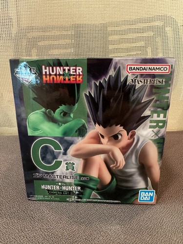 Hunter gon - x,