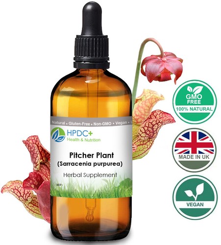 Organic pitcher plant - organic, /