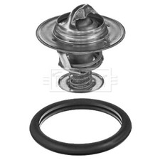 Coolant Thermostat BBT169 Borg