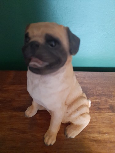Castagna pug figurine - figurine, sitting