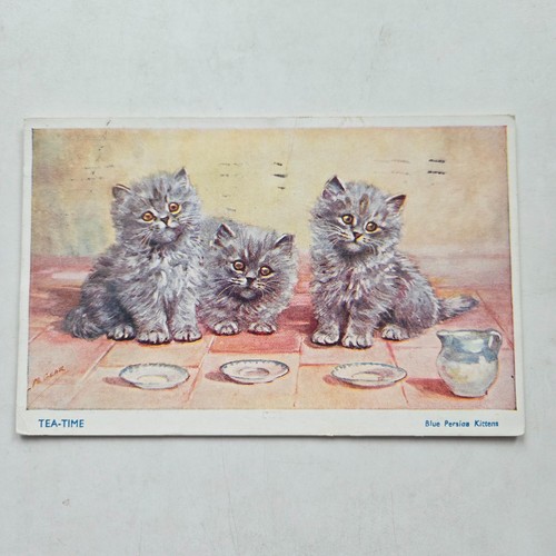 Tea time blue - tea-time, kittens