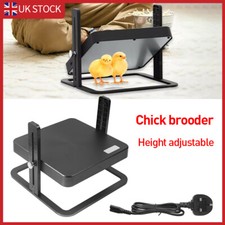 Chicken Poultry Brooder Heater