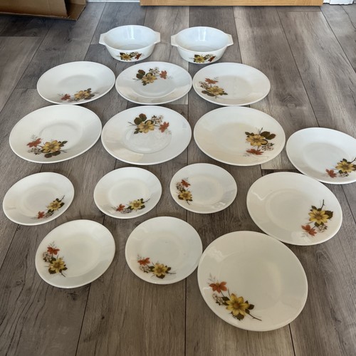 Vintage jaj pyrex autumn glory - jaj,