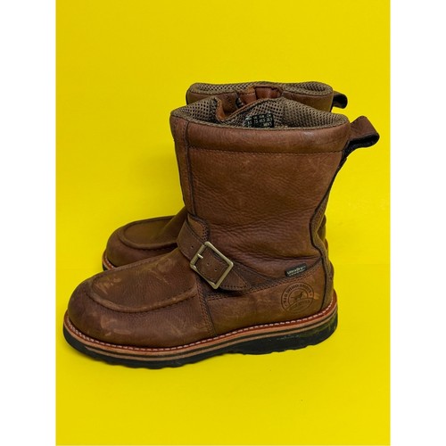 Irish setter red wing - irish,