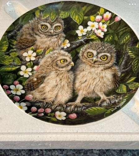 Vintage wedgwood collectors - vintage, collectors'
