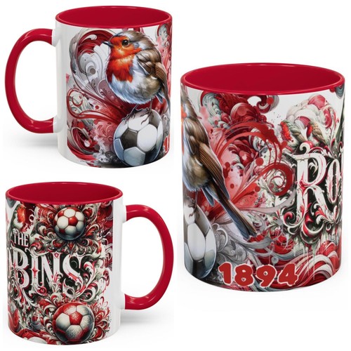 Bristol city fan mug - city,