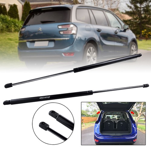 Rear tailgate boot gas - boot, struts