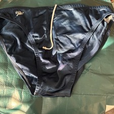 Speedos Men’s Blue