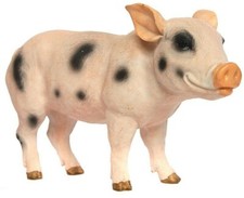 Pig Garden Ornament - Resin - Farmyard - Animal - Figure
