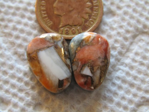 Spiny oyster shell - 2, mojave