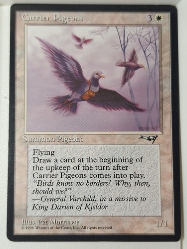 Carrier pigeons - carrier,