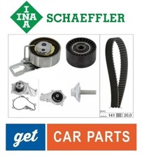 INA Water Pump & Timing Belt