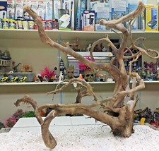 Blackmoor WOOD AQUARIUM Premium like redmoor Vivarium AQUASCAPING mopani bogwood