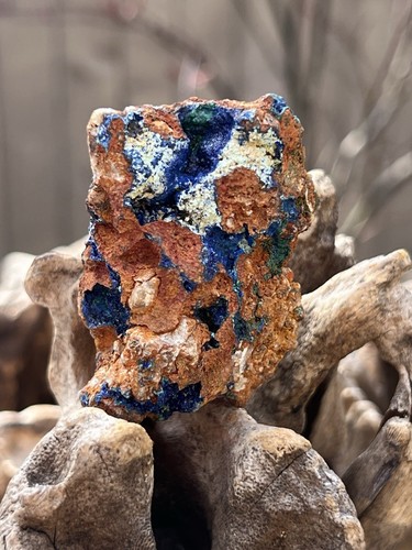 Large azurite specimen - azurite,