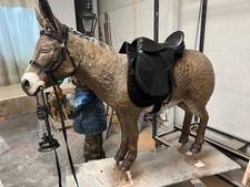 3x Lifesize Interactive