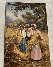 Gillingham, Dorset Harvesting  Postmarked Shaftesbury 1904