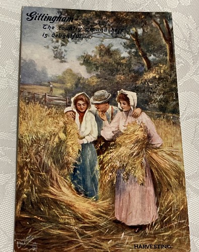 Gillingham dorset harvesting - gillingham,,