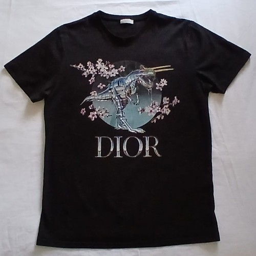 Dior hajime sorayama - x,