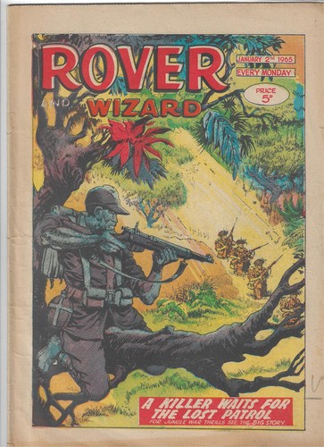Rover wizard comic - wizard,