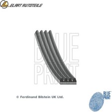 V-RIBBED BELT AD04R800 FOR BMW