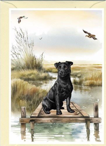 Patterdale terrier dog - patterdale,