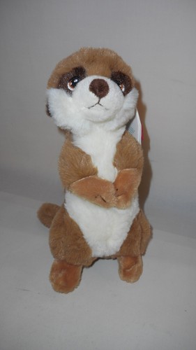 Brand new meerkat - tags),